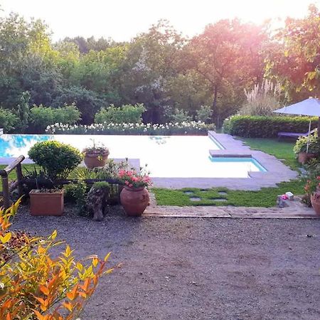Tuscan Hills Near Florence - Stone House Vicchio Exterior photo