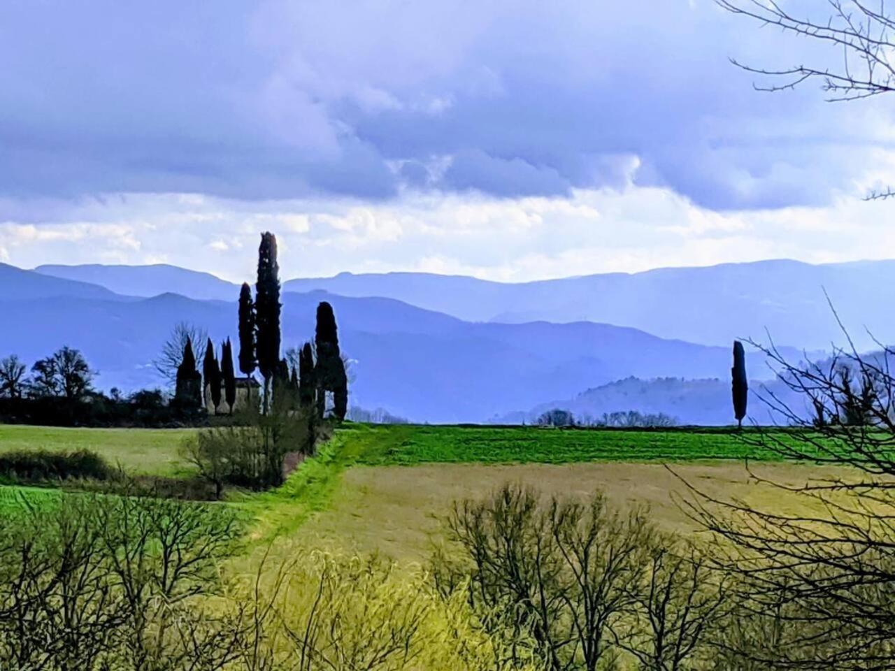 Tuscan Hills Near Florence - Stone House Vicchio Exterior photo